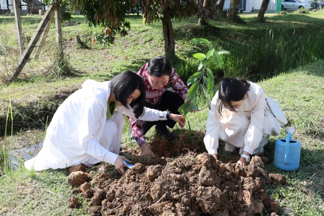 10.6湄澜学习中心植树.jpg